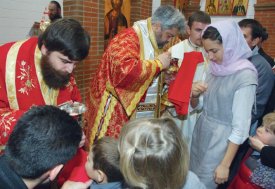 BUCURIA COMUNIUNII ÎN SLUJIRE