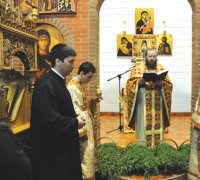 Săptămâna Patimilor şi Învierea Domnului în parohia Coslada, Spania